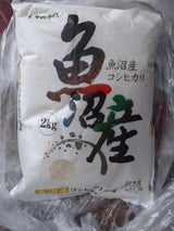 大和 魚沼こしひかり 2kg