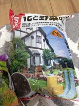 センターバレイ 花と野菜の土