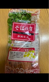 すぷらうと そばの芽 1P