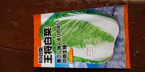 日本農産　王将白菜　１Ｐのレビュー画像