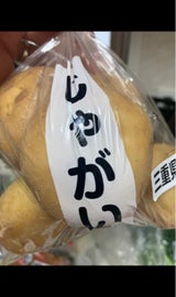 岐東 じゃがいも