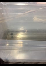 JEJ 深型コロ付収納ボックス #74