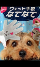 本田洋行 ウェット手袋なでなで 10枚
