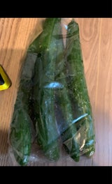 東邦フィルム きゅうり用袋