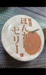 高知県特産品販売 ポンカンゼリー カップ 95g