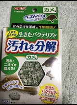 GEX ベストバイオブロック カメ用 1個