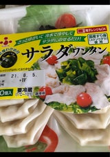 ふじや食品 サラダワンタン 10粒