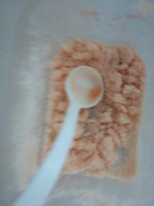 使用している写真