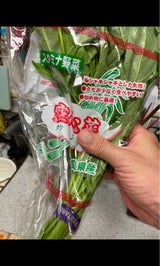 ならにっか 空芯菜 100g