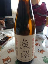 白瀧 魚沼 純米 瓶 720ml