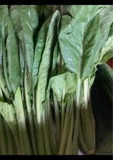 マルシン こまつな