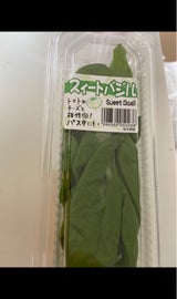 共立リビングアーツ スイ-トバジル