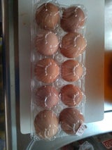 栗駒ポートリー 普通卵 2L 10個