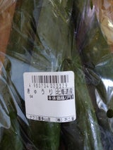 ベルグリーン きゅうり用 1P