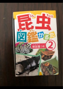 日本パール加工　昆虫図鑑かるたのレビュー画像