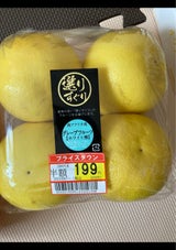 精晃 グレープフルーツ ホワイト 袋 4個