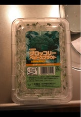 三和 ブロッコリースプラウト
