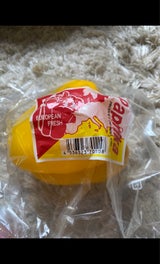 南九州 パプリカオランダ 1P