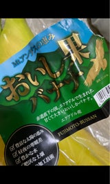 藤本 バナナ エクアドル産 600g