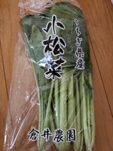 東一 こまつな 1P