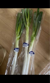 矢部 ねぎ 青森産 1本