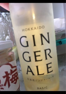 ノースＦＳ　北海道ジンジャーエ−ル　瓶　２００ｍｌのレビュー画像