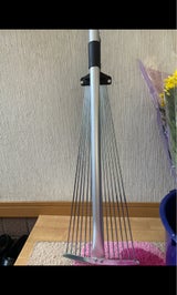 大進 エバーグリーンガーデンクリーナー