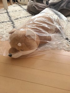 抱きまくらL コタロウ 48768−44のレビュー画像