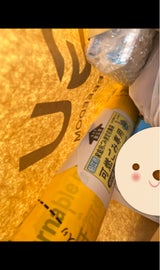 狛江市 可燃 大