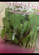 奥出雲 ベビーリーフ小袋 1P