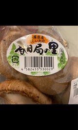 戸川 なましいたけ 1P