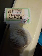 大日本プラスチック にんにく袋