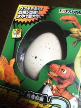 清水 恐竜のたまご3 1枚