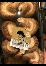 クレセント 菌床 生しいたけ B8 8個