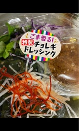 サトウ チョレギサラダ 1P