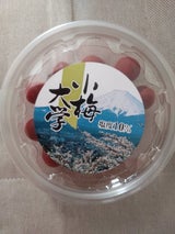 ヨネヤマ 小梅大学 100g