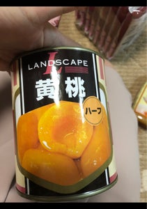 使用している写真