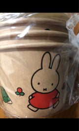 フリーライド デザートカップMクラフト