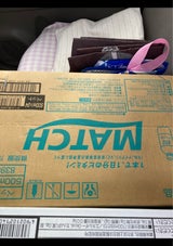 大塚食品 マッチ ペットボトル 500ml×24本