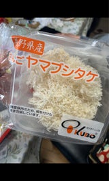 久保 さんご ヤマブシタケ