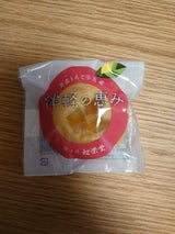 松栄堂 津軽の恵みりんご 1個