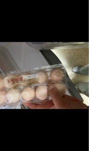 使用している写真