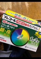 プレコール持続性鼻炎カプセルLX 20カプセル