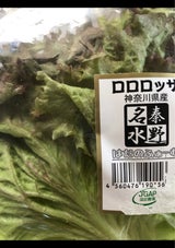 グランパF ロロロッサ