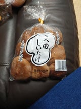 文田 生しいたけ