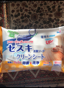 セスキ炭酸ソーダ　クリーンシート　リビング　２２枚の商品写真