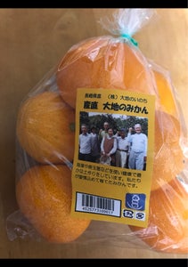 ABS スティックセニョールの商品写真