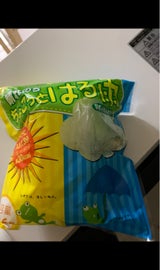 ヴォークス 晴れのちちょこっとはる雨 8g×6個