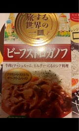 S&B 旅する世界の一皿ビーフストロガノフ 72g