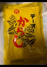 テーオー からし 35g